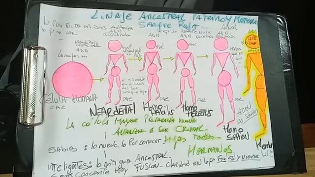 Santo Grial. Sangre Real. Cómo encarnamos. Evolución a seres cristal. смотреть онлайн