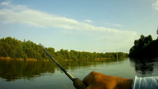 Жерех под мостом