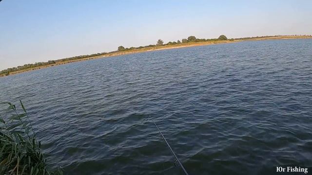 РЫБАЛКА НА САЗАНА, КАРПФИШИНГ+ КОНКУРС смотреть онлайн