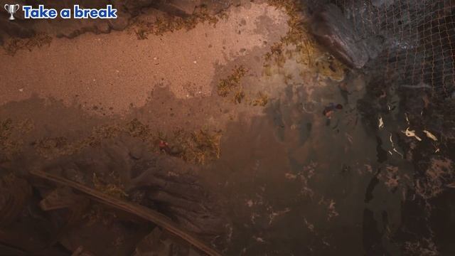 Brothers: A Tale Of Two Sons Remake - Take A Break Trophy Guide