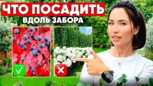 98% людей неправильно сажают растения у забора