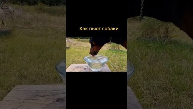 Интересные факты смотреть онлайн