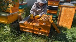 УЛЕЙ ДЛЯ ЛЮДЕЙ С ОГРАНИЧЕННЫМИ ВОЗМОЖНОСТЯМИ