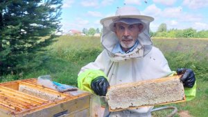 Мёд с пасеки семьи Румянцевых