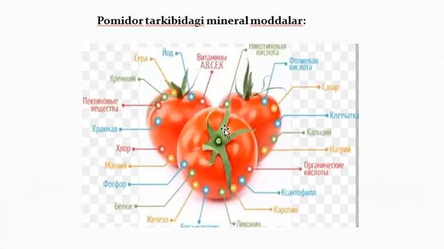 Mahsulotlarni qayta ishlashning nazariy asoslari смотреть онлайн