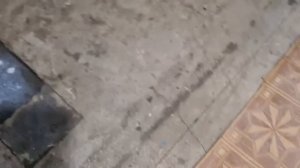 ЕйскЖивём у моря. Ремонт в ванной, стена из газоблоков. Наш огород на юге.