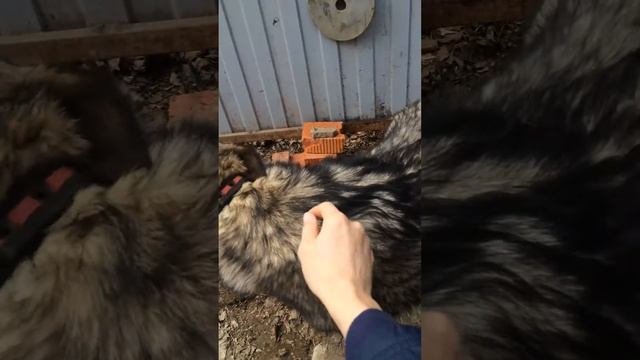 Тики смотреть онлайн