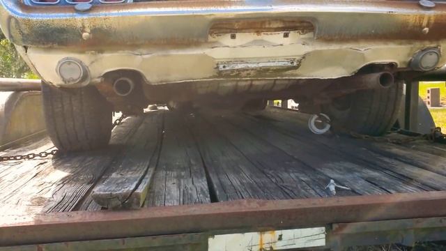 Mustang  Mach1 1970  Find And Buy