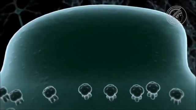 эпилепсия // эпилепсия часть 2 // причины // нейрохимия мозга // смотреть онлайн