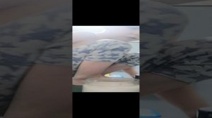 VID_20241227_230228.mp4