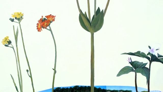 Clip from Without Just Cause- Elaine MacGray Starrett Artist Profile смотреть онлайн