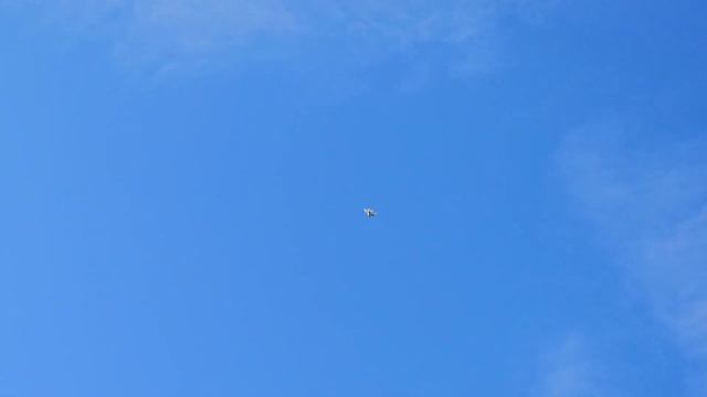 Голуби 75 штук пришло время смотреть онлайн