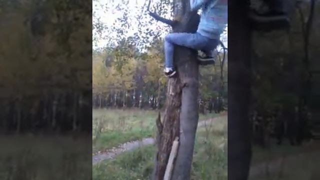Как залесть на дерево смотреть онлайн
