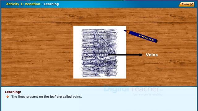 Venation, Class 6 Biology | Digital Teacher смотреть онлайн