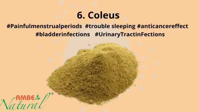 10 Ayurvedic Herbs That can help to boost your Immunity смотреть онлайн