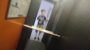 говорящие лифты щлз экомакс 2018 от пик