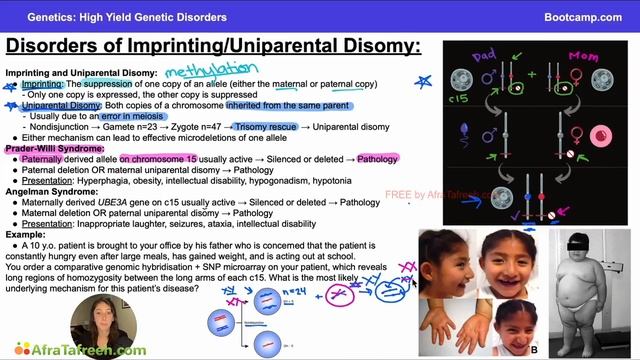High Yield Genetic Disorders-2.Disorders of Imprinting atf смотреть онлайн