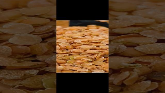 Чечевица красная, пророщенная