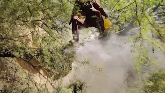 Big Honey Harvesting🍯🍯-5 Kg Nikala-