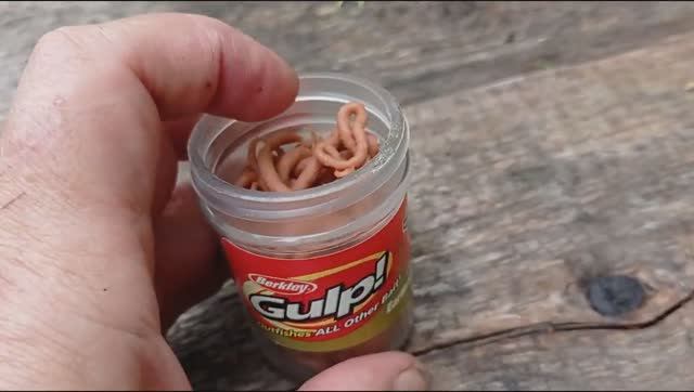 Тестирование искусственного червя от Berkley