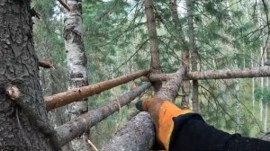 Строительство вышки для охоты своими руками! #вышкадляохоты