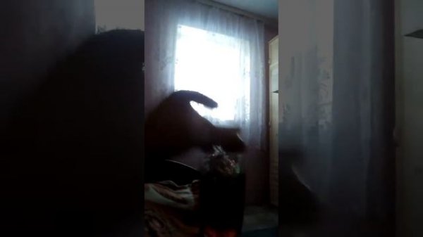 Магия цвета