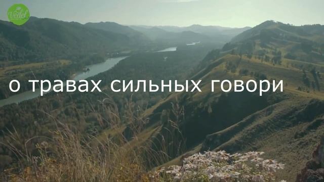 Песня Силы | Команда "Ведель" Ольги Макаровой, г. Санкт-Петербург смотреть онлайн