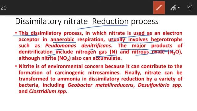 Dissimilatory nitrate Reduction | Anammox reaction | denitrification | ICAR NET | ASRB NET | CSIR смотреть онлайн