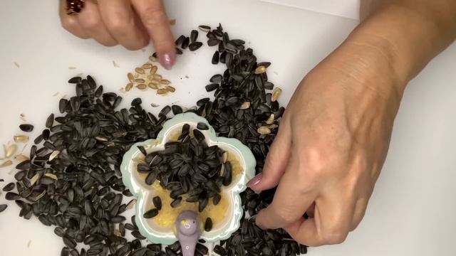 ASMR and Mukbang Nibble seeds and wash down with carrot juice! смотреть онлайн