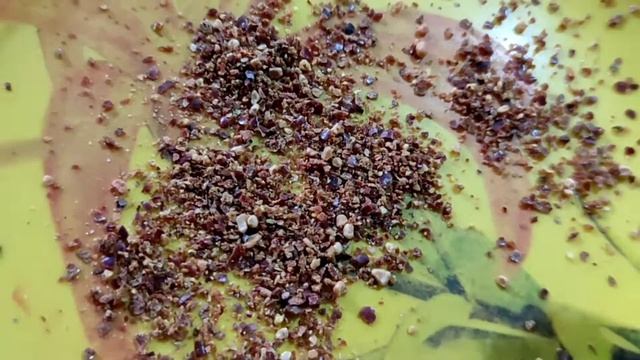 #DRY ASSAMESE JUJUBE POWDER#GRACIAS#SHRI.PANKAJ SONARI.RESPECTED PRINCIPAL#VIDYA:THE LIVING SCHOOL смотреть онлайн