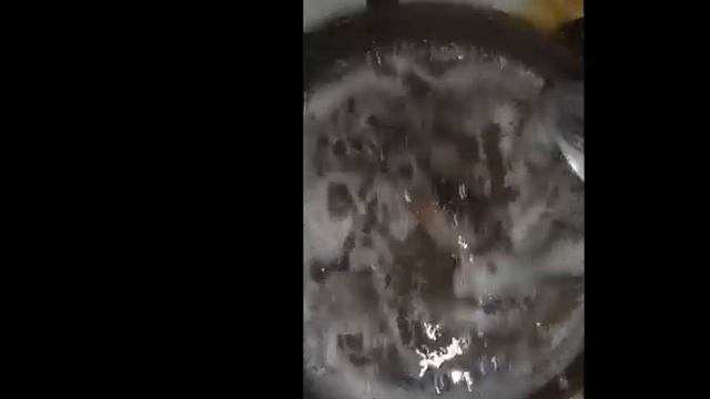 мясо лягушки Zoouri5 смотреть онлайн