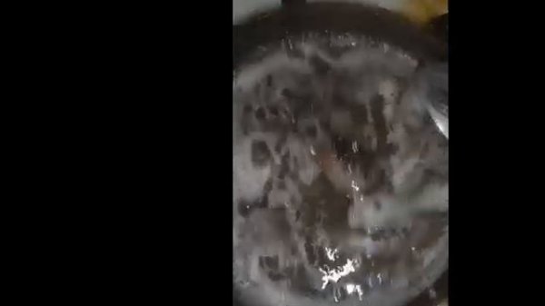 мясо лягушки   Zoouri5