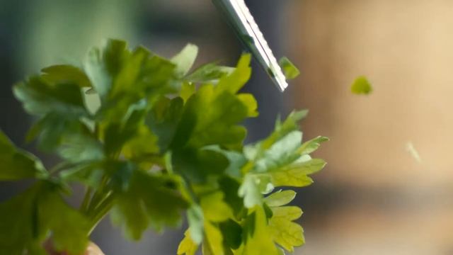 Thermomix- לבשל כמו שחלמתם смотреть онлайн