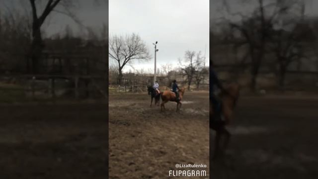 Vlog: моя тренировка на Аспиде 🐎 10.1.2018