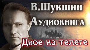 Василий Шукшин. Двое на телеге. Аудиокнига рассказ  #литература