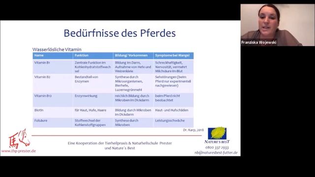 Die Grundlagen der Pferdefütterung