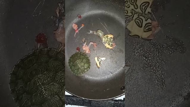 мясо черепахи рецепт смотреть онлайн