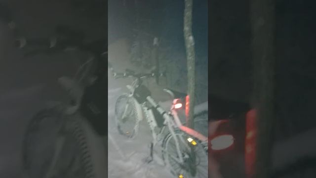 Супер-велотренировка в зимнем лесу! #кардио #велосипед #спорт #motivation