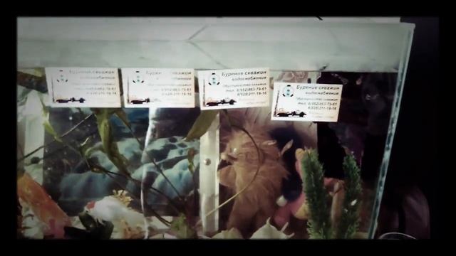 Эксперимент не удался смотреть онлайн