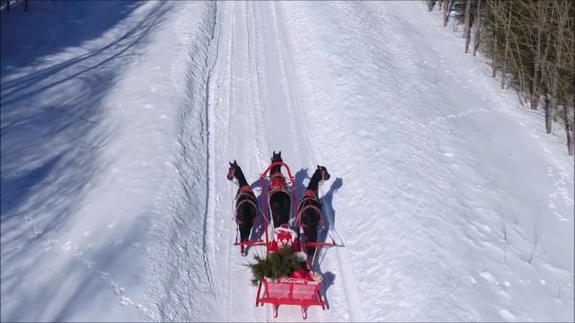 С Новым годом страна! .mp4