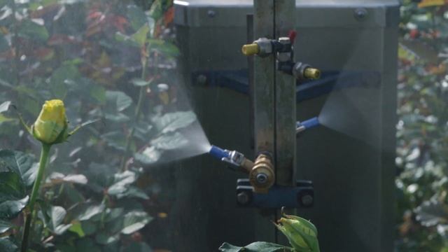 How to use Veni Amino from Koppert смотреть онлайн