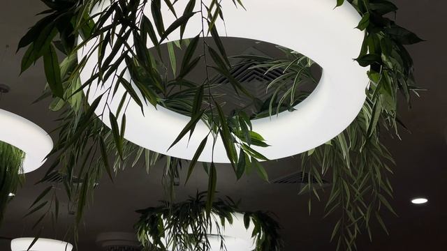 Mineral SPA в Сибири смотреть онлайн