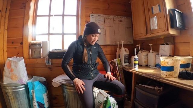 Barn Chat: HORSE NUTRITION, DIETS & FEEDING • How I Feed Horses Hay & Grain || Equestrian Vlog смотреть онлайн
