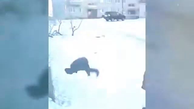 Вод блинн старое видео прошлой зимы сальто я фторой☺☺☺