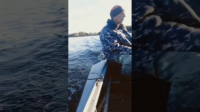 14 октября 2024 г.