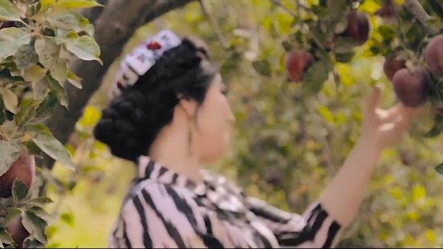 ПРЕМЬЕРА! Парвина Гафури - Ёри дилозор смотреть онлайн