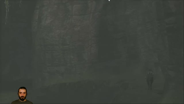 Shadow of the Colossus (720p) livestream смотреть онлайн
