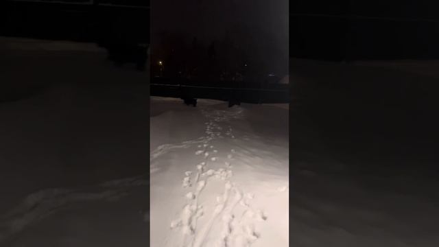 Утро начинается не с кофе 🙈 смотреть онлайн