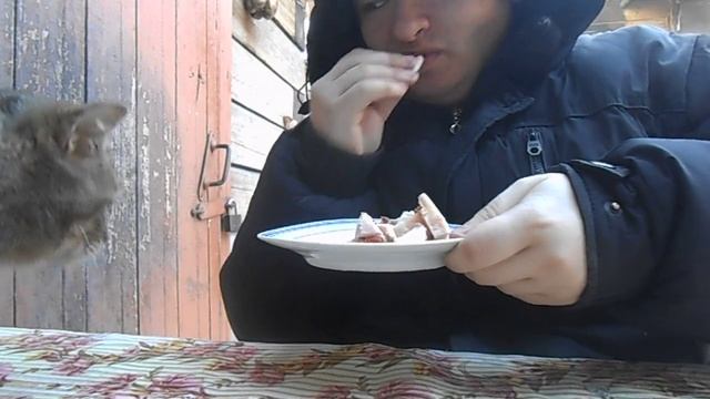 кормлю маркиза копчёным мясом смотреть онлайн