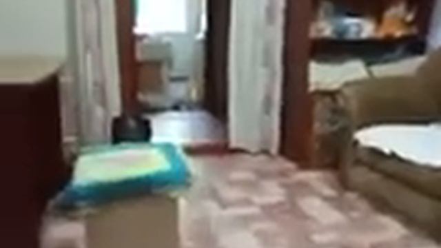 Как приготовить хот дог 3 смотреть онлайн